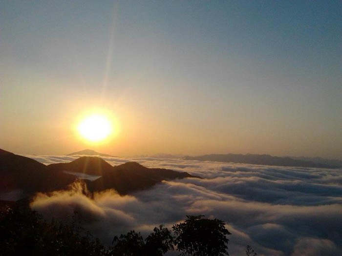 Ở vùng núi cao Quang Huy - Phù Yên - Sơn La, cảnh tượng mây núi ôm ấp lẫn nhau không có gì xa lạ nhưng ùn ùn, bồng bềnh cả 1 biển mây trắng như thế này lại rất hiếm thấy